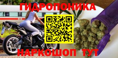 шишки Татарск